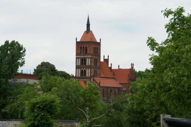 kociwmikoaja.jpg