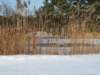 oczkowodnenaosiedlupanorama_small.jpg
