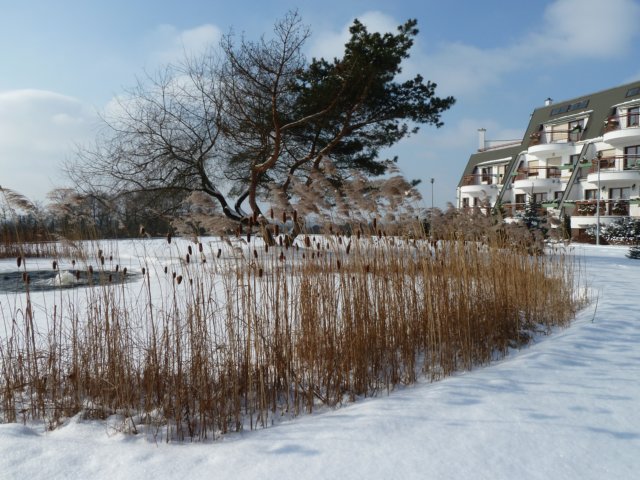 oczkowodnewpanoramie.jpg