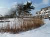 oczkowodnewpanoramie_small.jpg