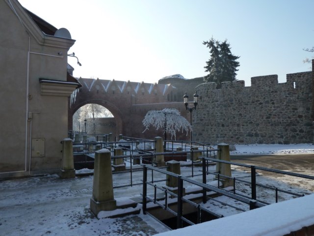 p1000329.jpg
