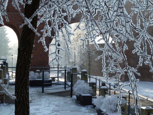 p1000332.jpg