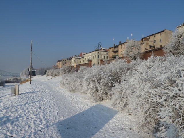 wilanybulwar.jpg