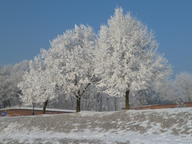 zima.jpg