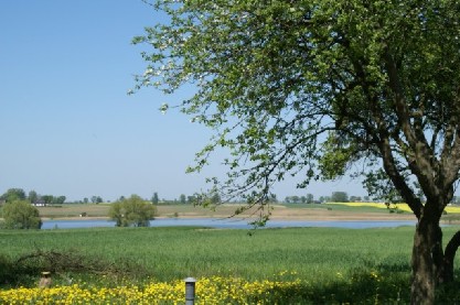 Działka na Strużalu - 2 foto
