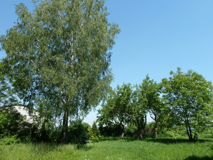 Ogród1 na Strużalu